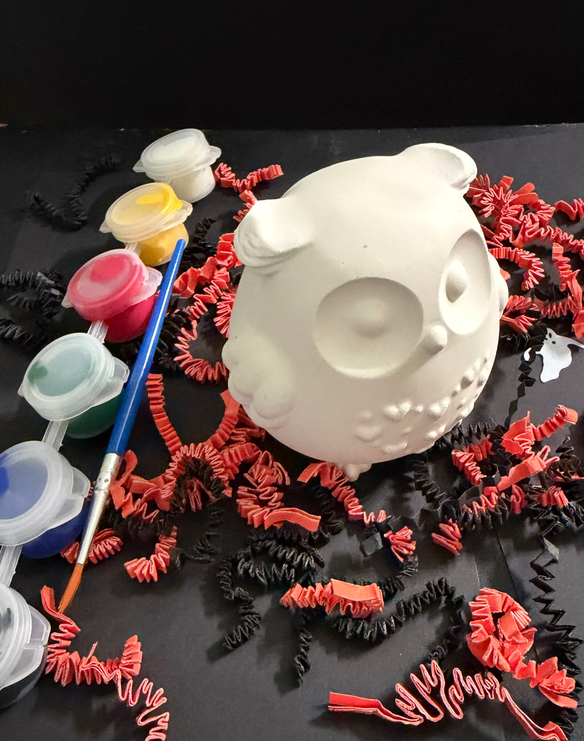 Wise Owl Halloween Fall Paint Kit