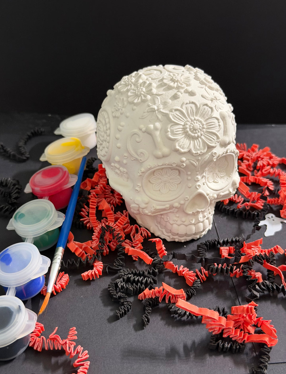 Day of the Dead 3D Sugar Skull Halloween Paint Kit