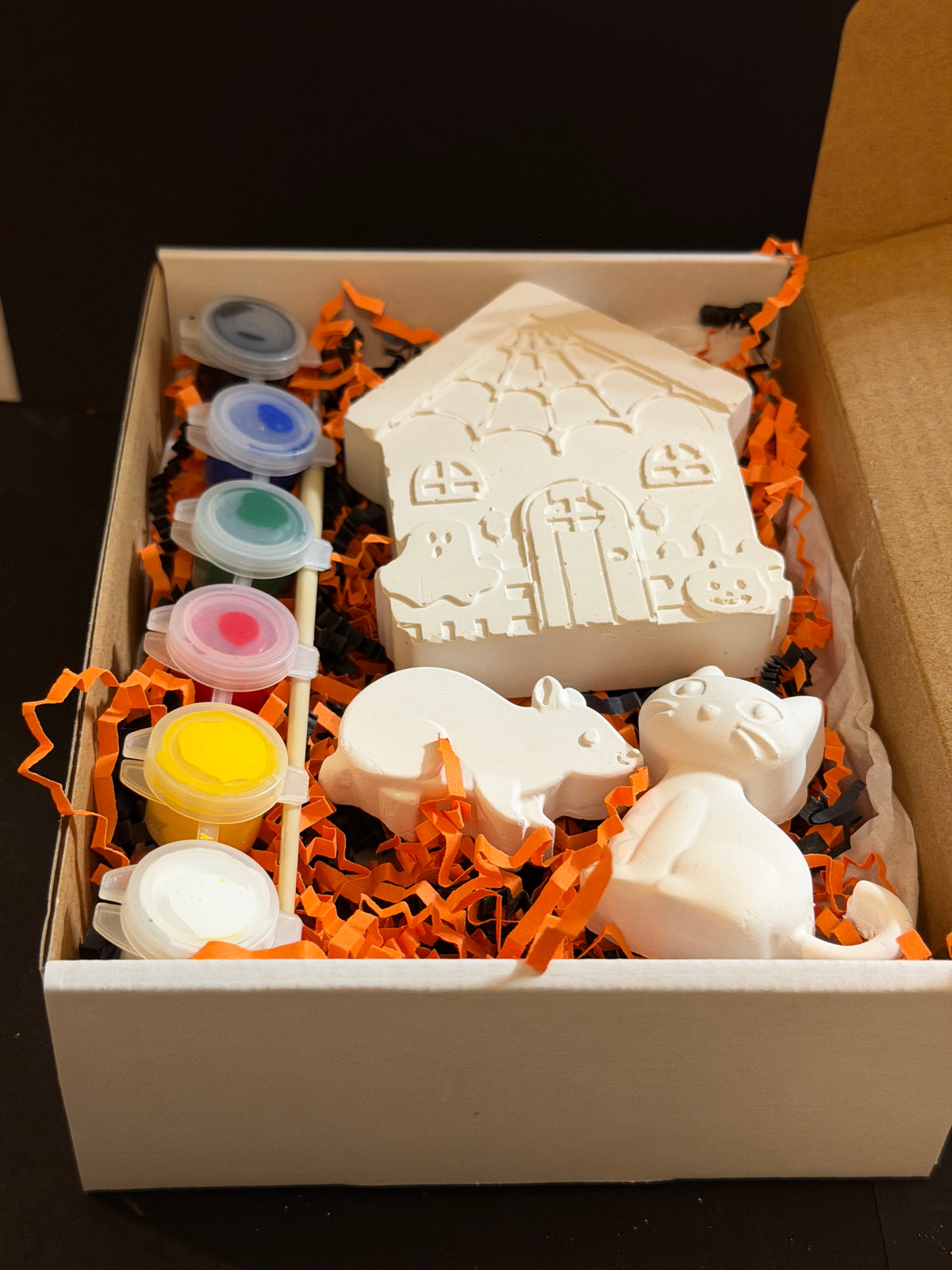 The Cat and The Rat Spooky House Halloween Fall Paint Kit